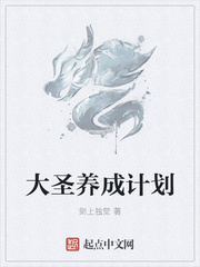 大圣养成计划